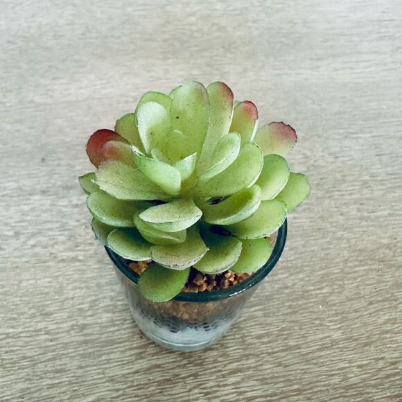 Succulent Plant Tier Tray Decor - Picture 3 of 3